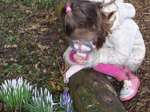 Hertenkamp Enkhuizen 