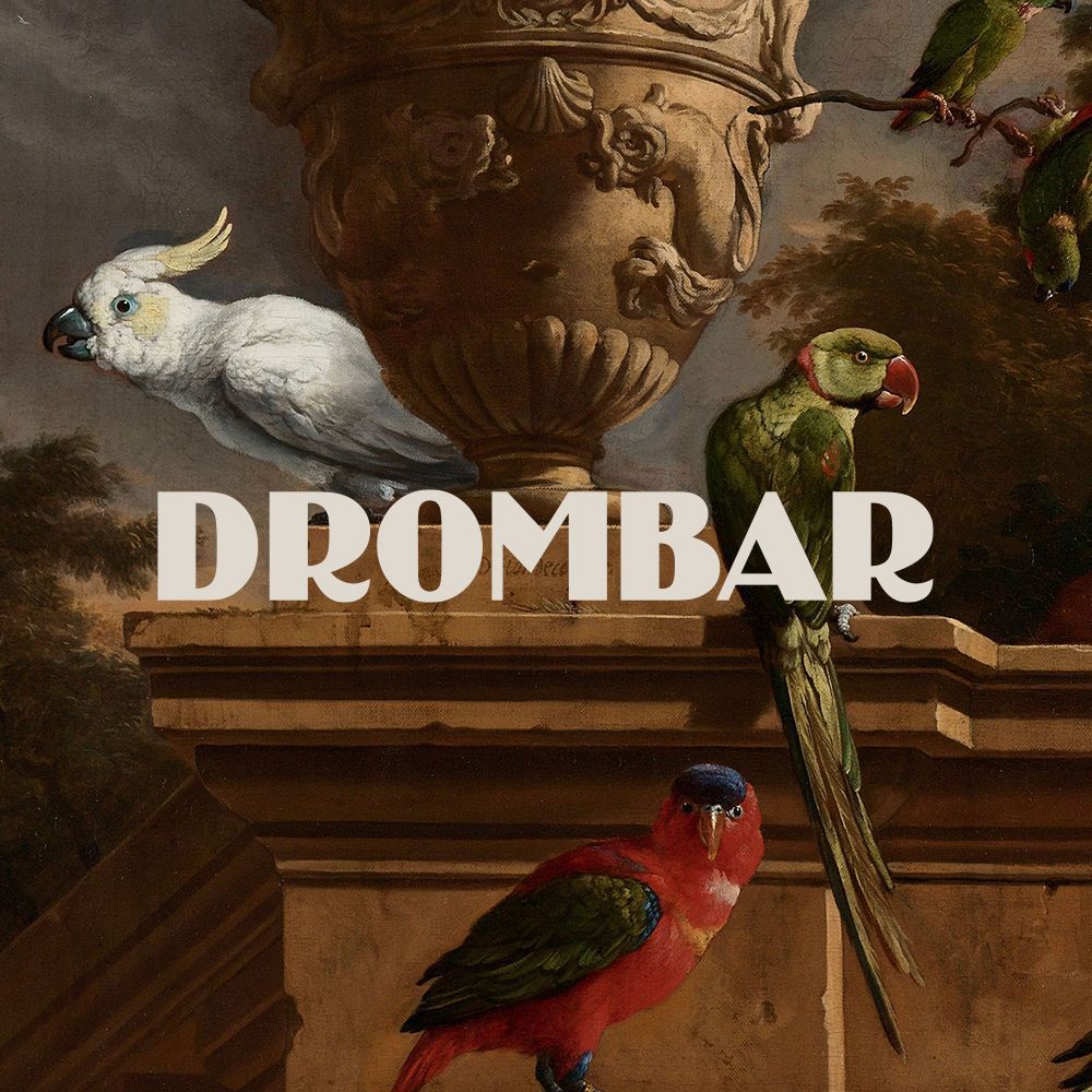 Kom na de kinderfilm gezellig met het gezin lunchen. Of liever een lunch voor het optreden van Menno & friends? Dat kan natuurlijk ook