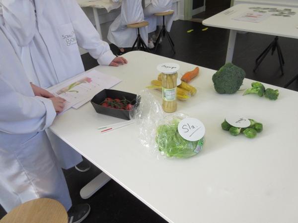 Sow to Grow kinderen