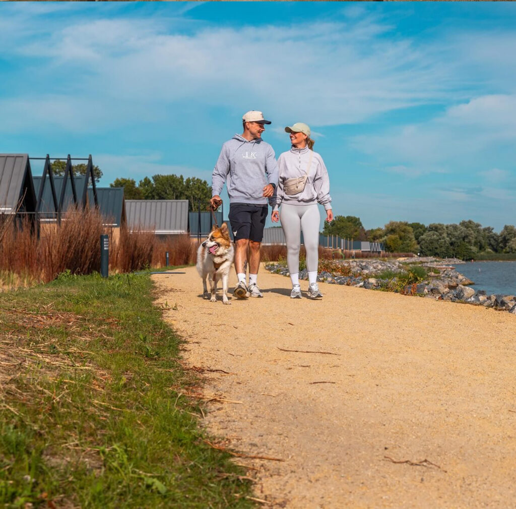 Honden in Enkhuizen